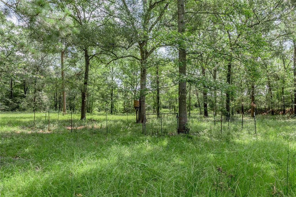 Kennard, TX 75847,TBD Neal Helton Road