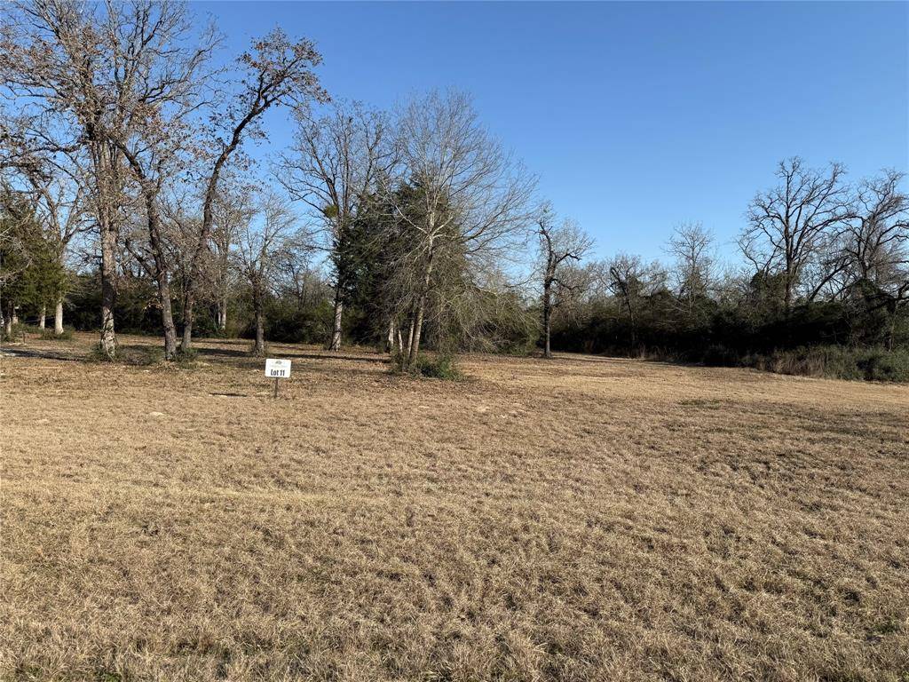 Marquez, TX 77865,260 Private Road 3894
