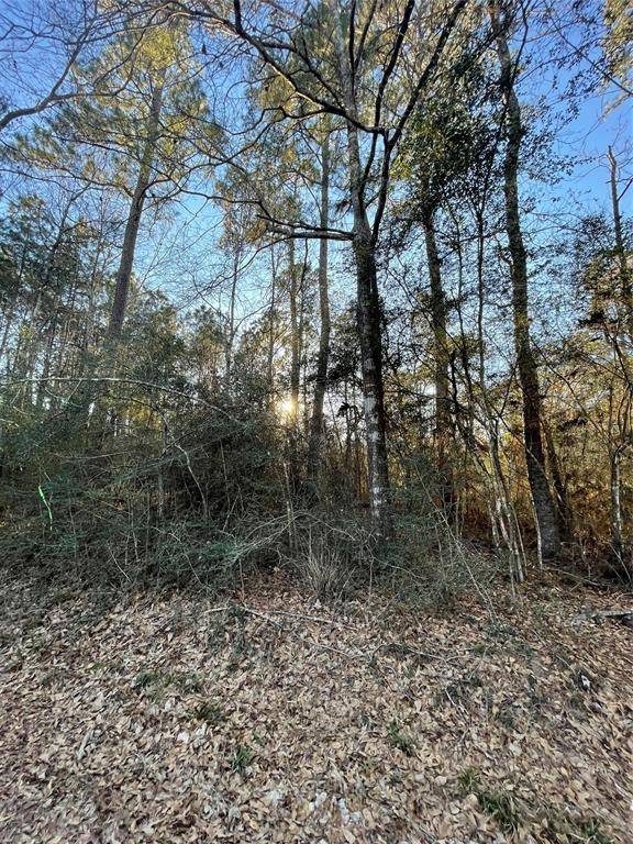 Montgomery, TX 77356,LOT 39 Walnut DR