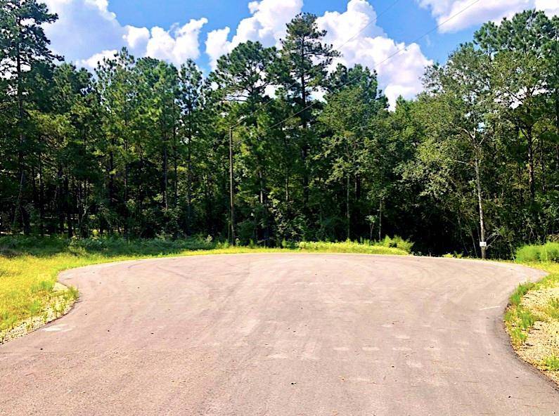New Waverly, TX 77358,TBD Rising Sun CT