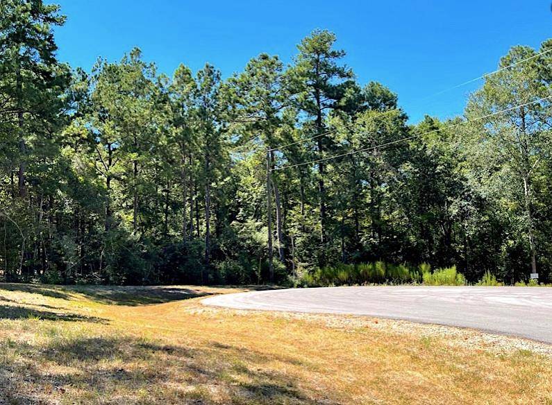 New Waverly, TX 77358,TBD Rising Sun CT