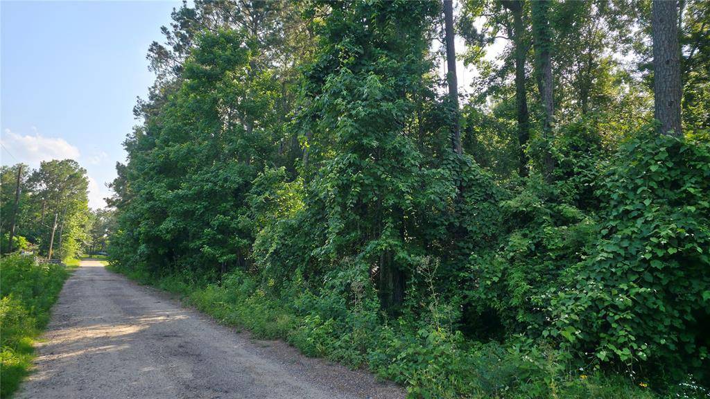 New Caney, TX 77357,19112 Durham CT