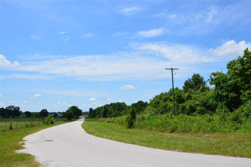 Navasota, TX 77868,Lot 4 10064 County Road 413