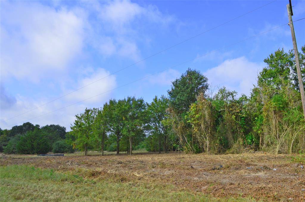 Navasota, TX 77868,Lot 4 10064 County Road 413