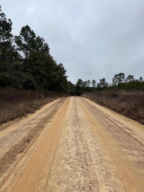 Livingston, TX 77351,TBD Young Rd, Tract 40