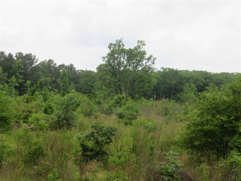 Cleveland, TX 77327,28409 Tx-146