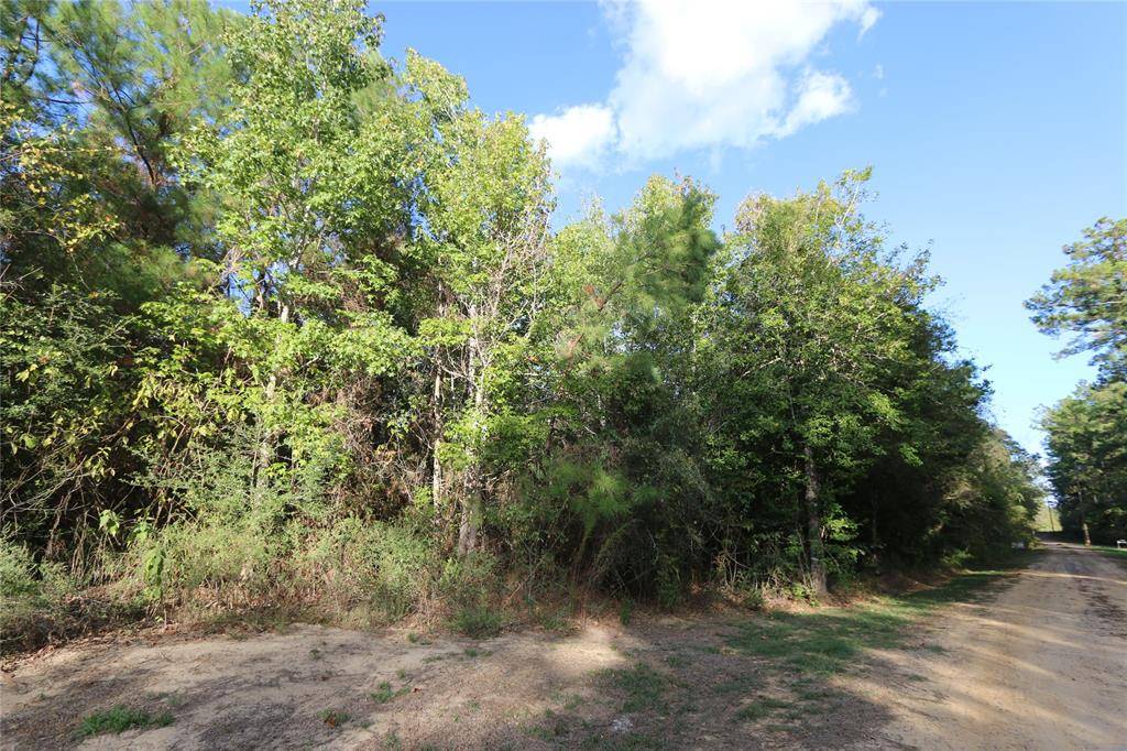 Kirbyville, TX 75956,TBD Co Road 541