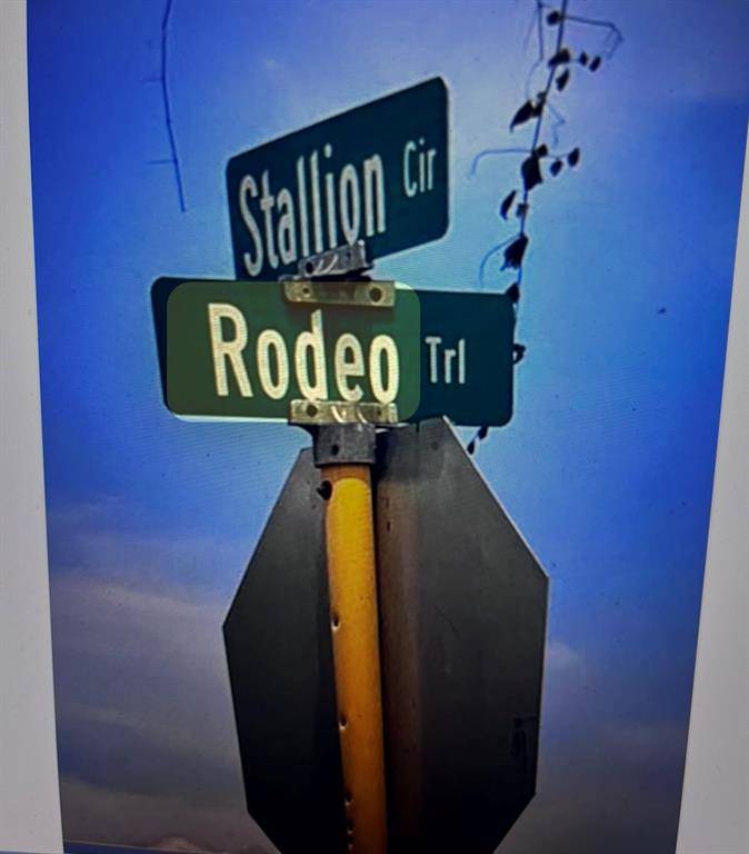 Angleton, TX 77515,756 Stallion CIR