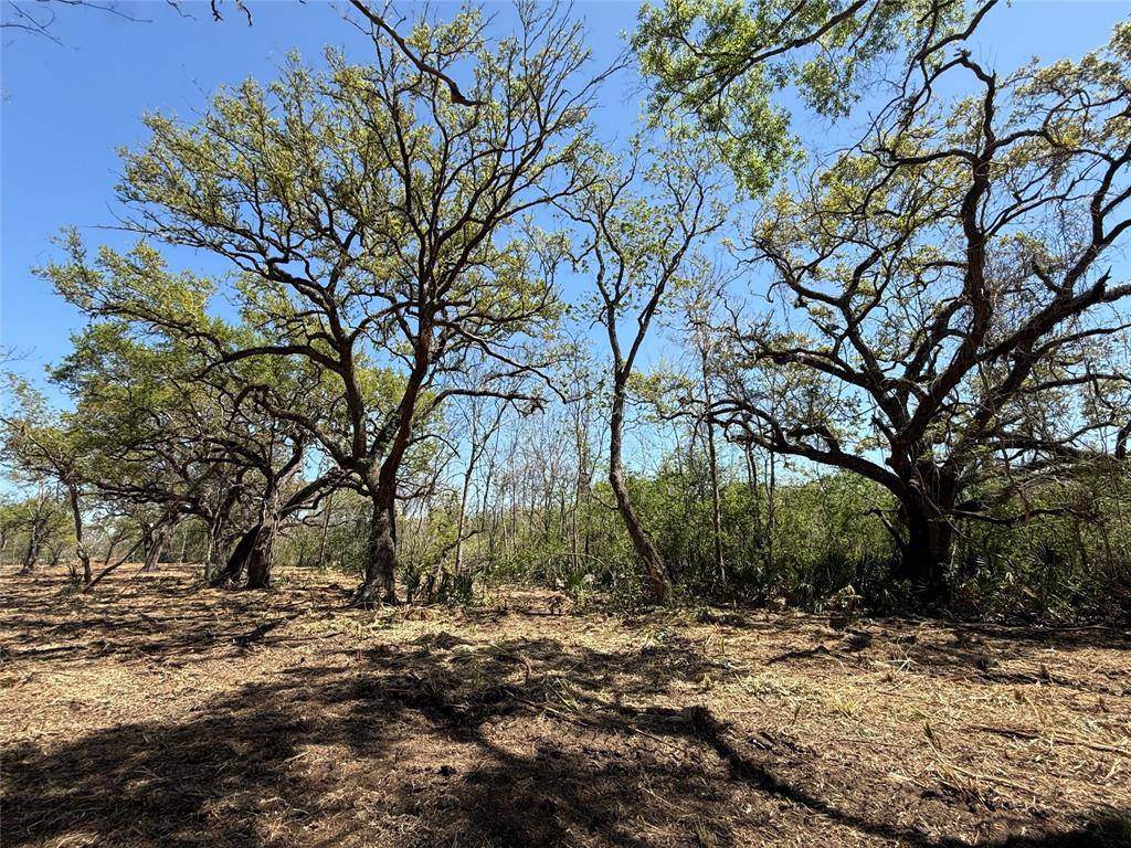Sweeny, TX 77486,1 CR 860