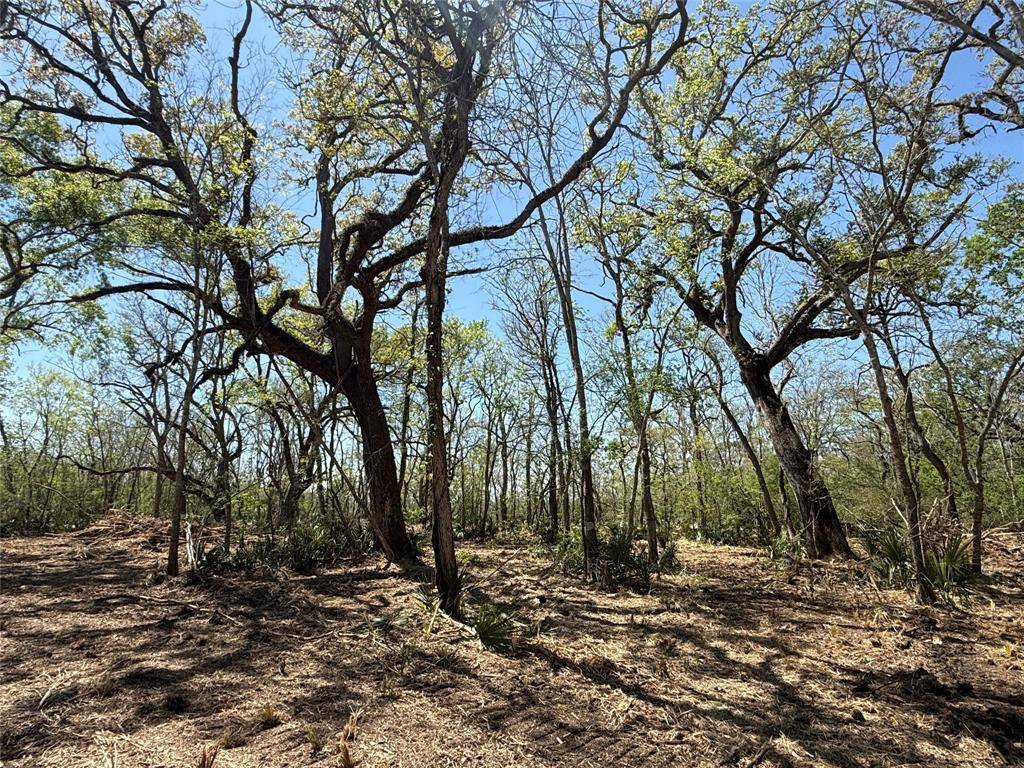Sweeny, TX 77486,1 CR 860