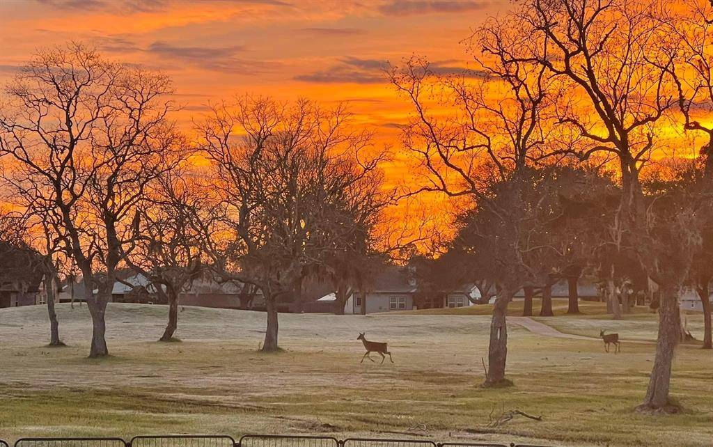 West Columbia, TX 77486,505 Green Meadows DR