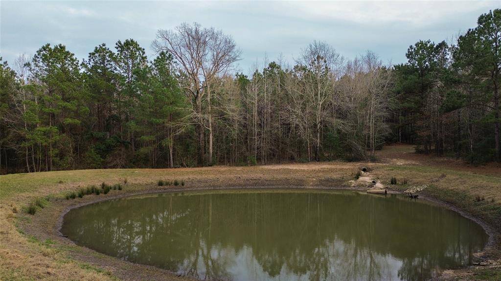 Oakhurst, TX 77359,399 Cleveland RD
