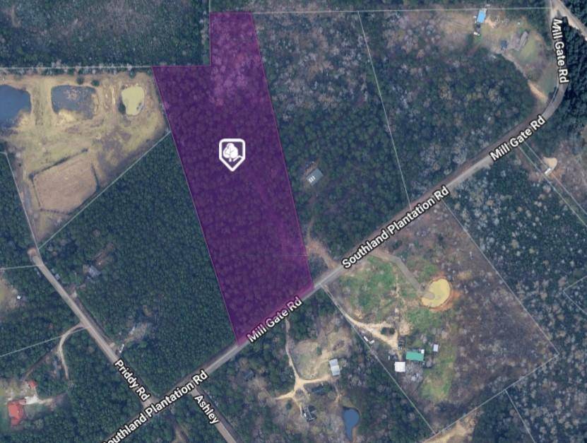 Livingston, TX 77351,TBD Mill Gate RD