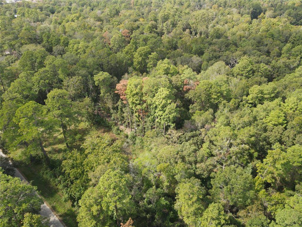 Humble, TX 77338,TBD Arborgrove LN