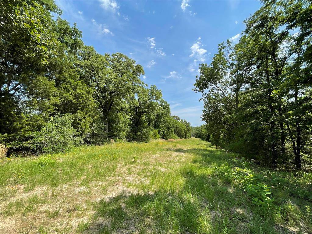 Fairfield, TX 75840,TBD Tract 12 Private Road 207