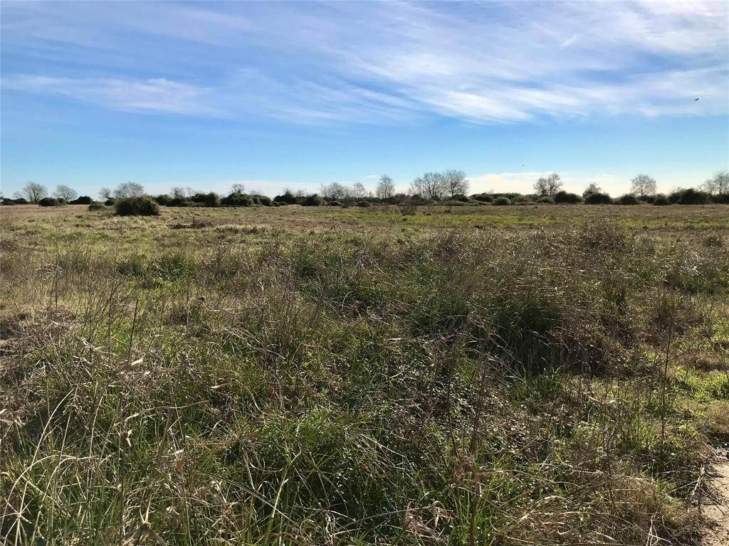 Eagle Lake, TX 77434,000 TBD Tract 21 HWY 3013 Highway E