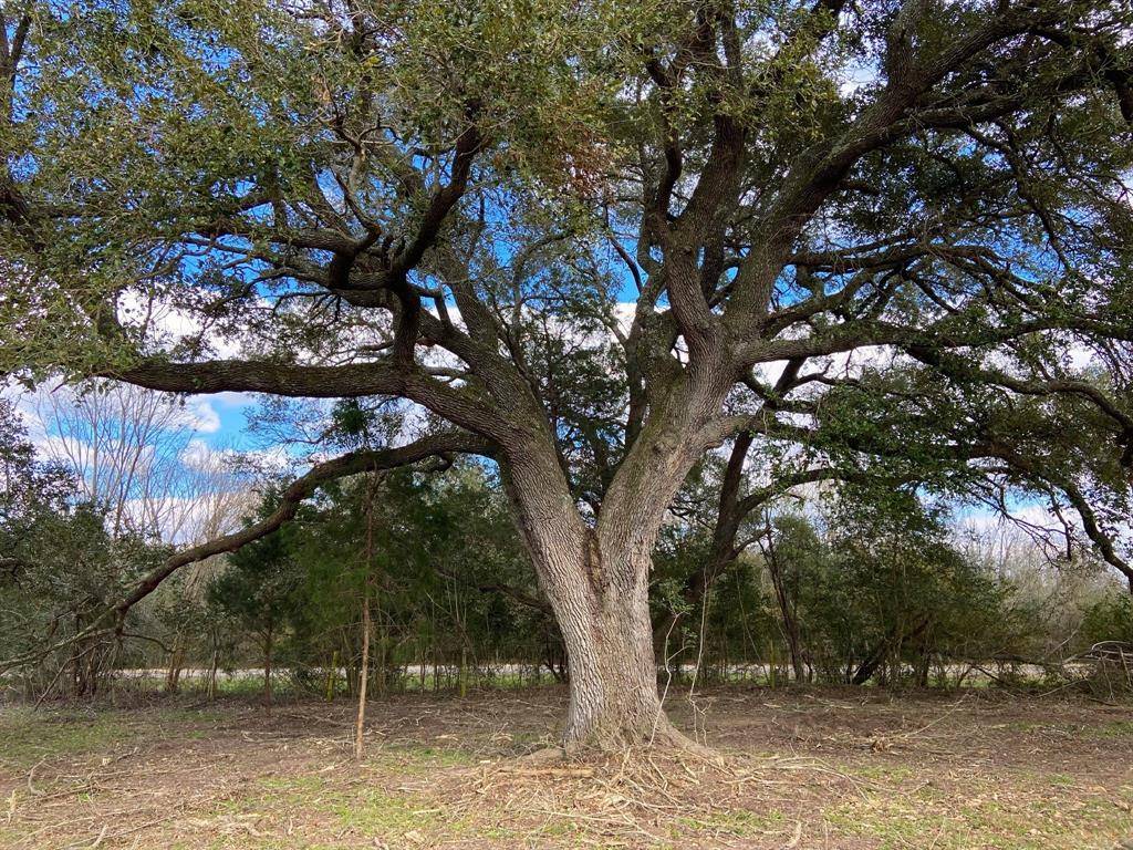 Waller, TX 77484,2 Ray Wright RD