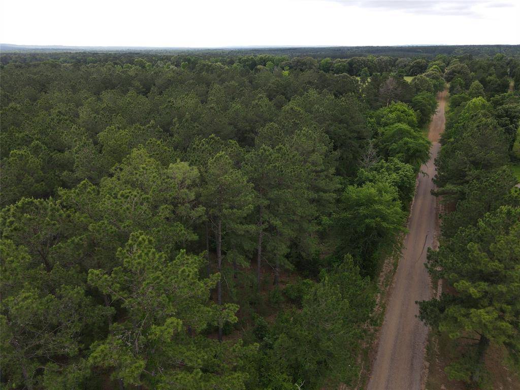 Neches, TX 75779,TBD ACR 353