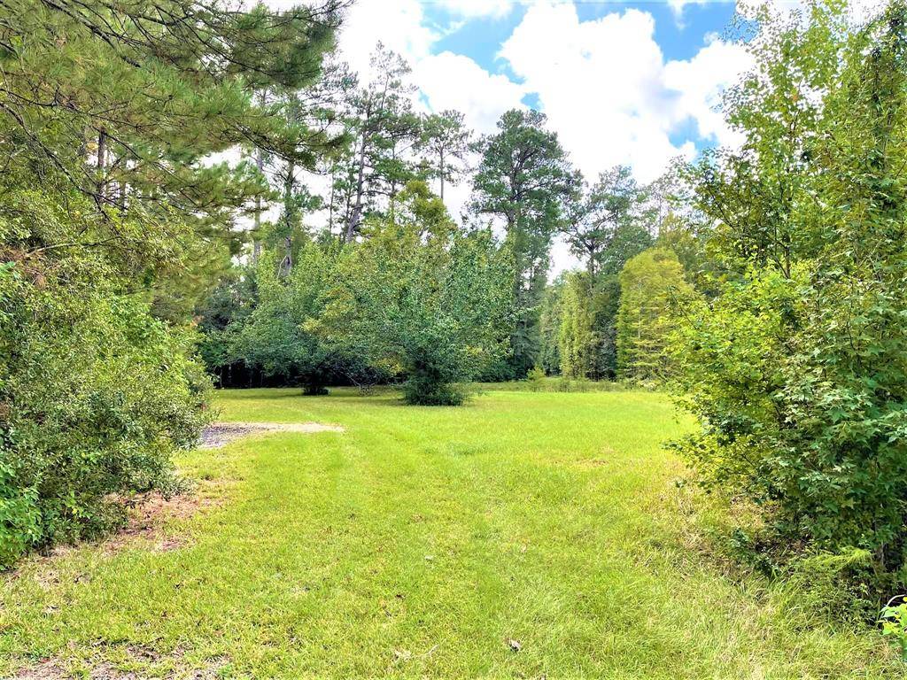 Kountze, TX 77625,15+/- Acres Matthews LN