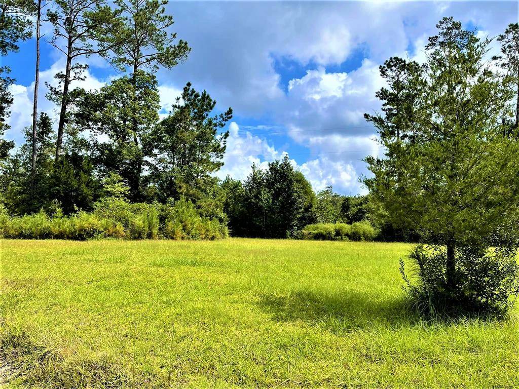 Kountze, TX 77625,15+/- Acres Matthews LN