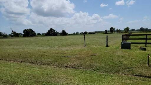 Rosharon, TX 77583,17210 Lucky Horse DR