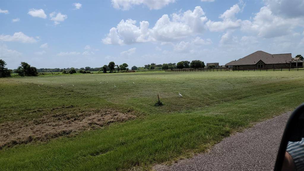 Rosharon, TX 77583,17210 Lucky Horse DR