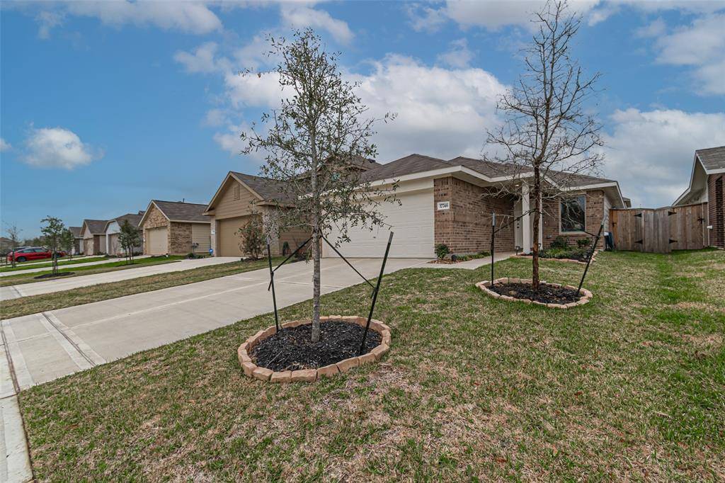 Hockley, TX 77447,17746 Pemswood DR
