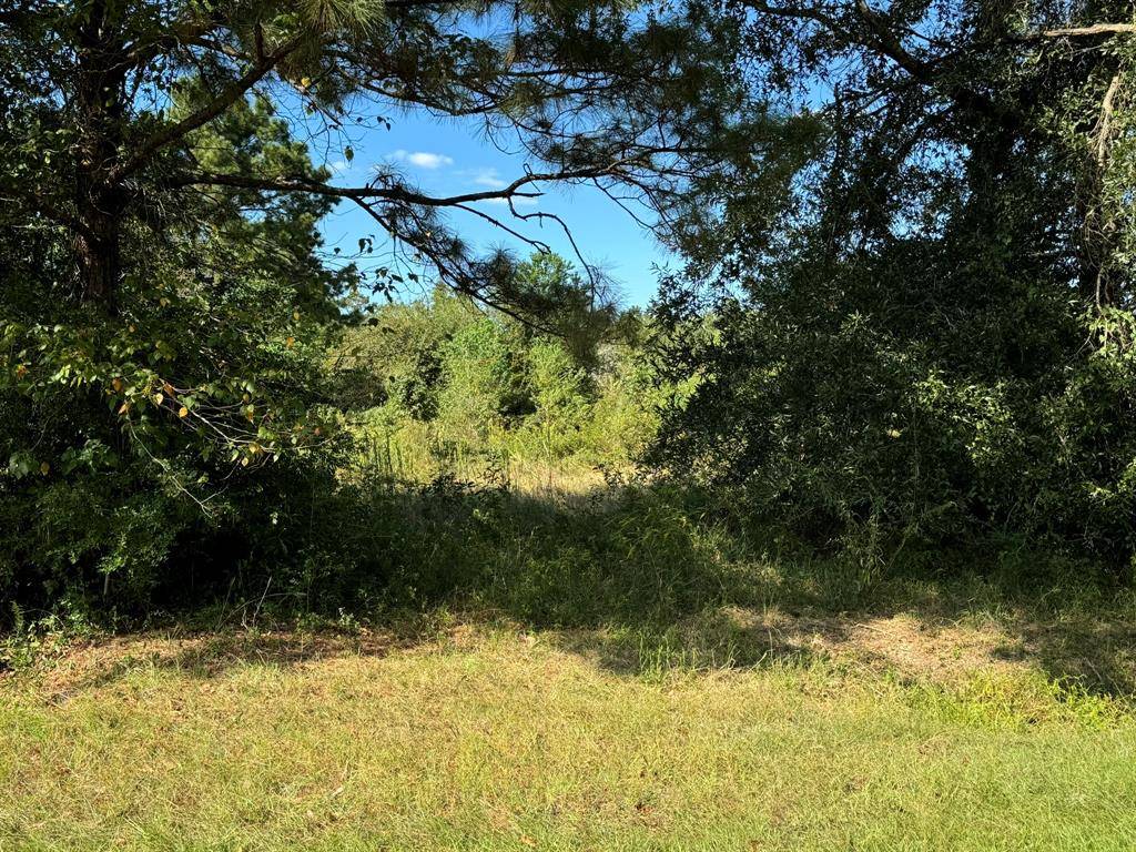 Orange, TX 77632,Lot 75 Pine Park BLVD