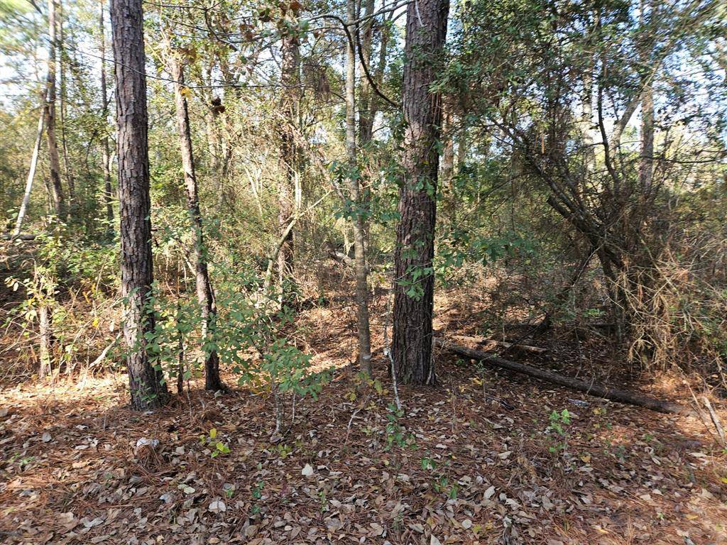 Plantersville, TX 77363,0003 Pinecone LN