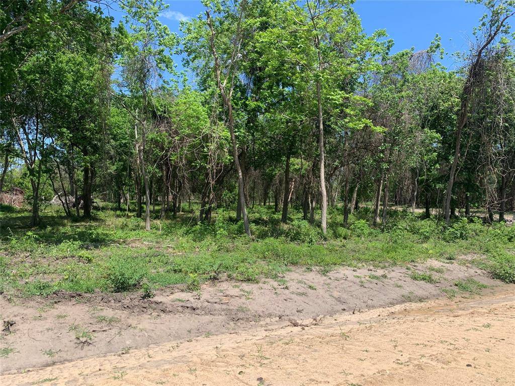 Alvin, TX 77511,2710 Hackberry Run Lot 47