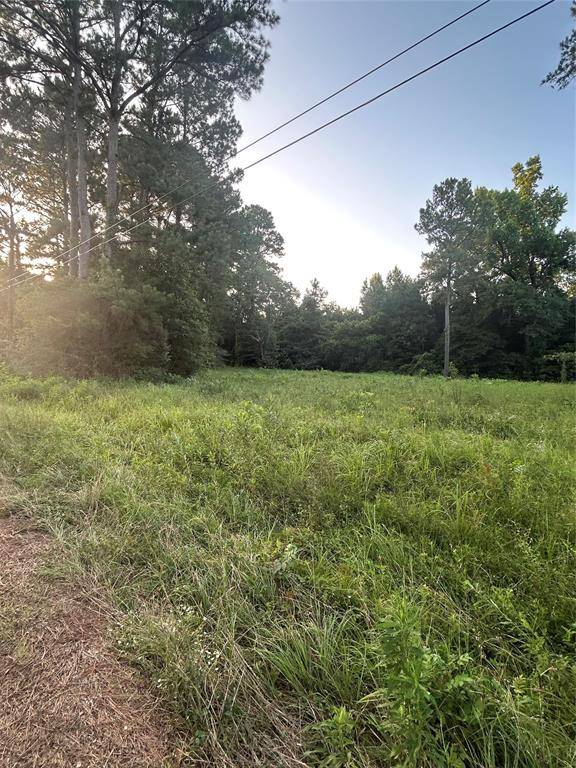 Shepherd, TX 77371,0 Broken Bough ST