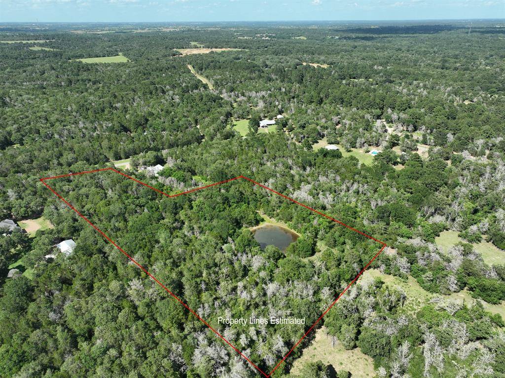 New Ulm, TX 78950,0001 Abel RD