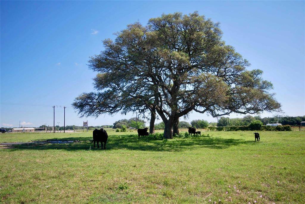 Flatonia, TX 78941,Tract 2 Fm 609