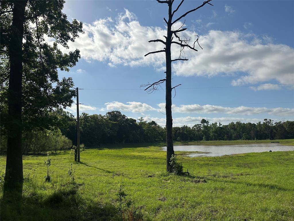 Buffalo, TX 75831,439 Walnut Ln LN