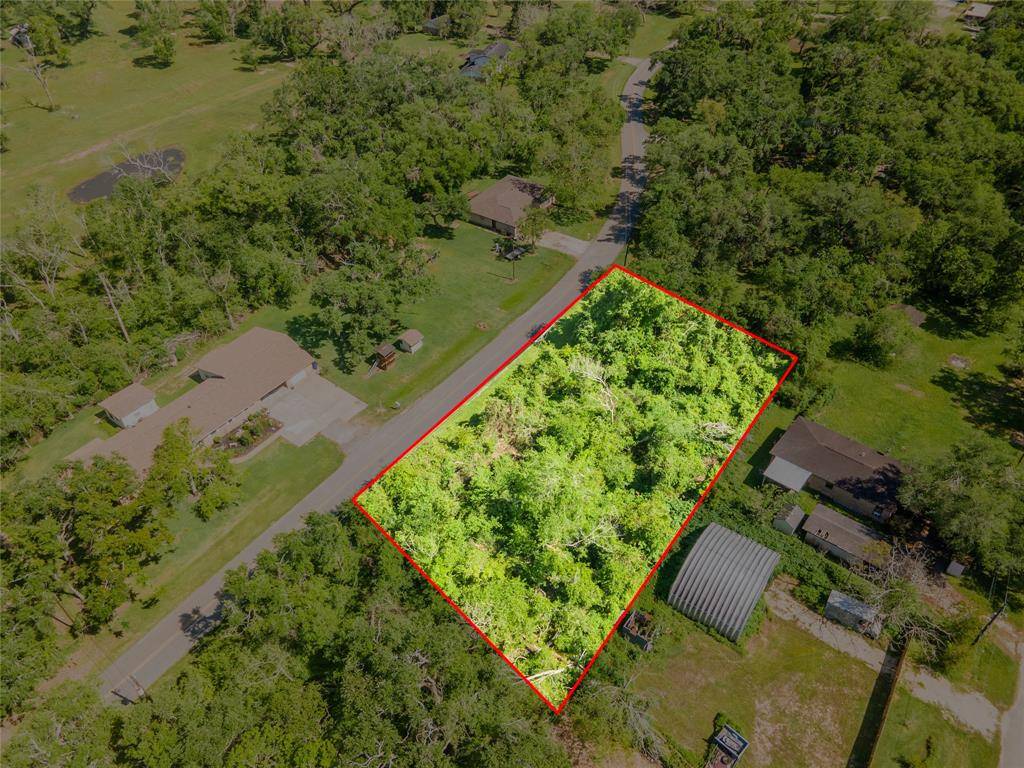 Jones Creek, TX 77541,0 Robinhood LN