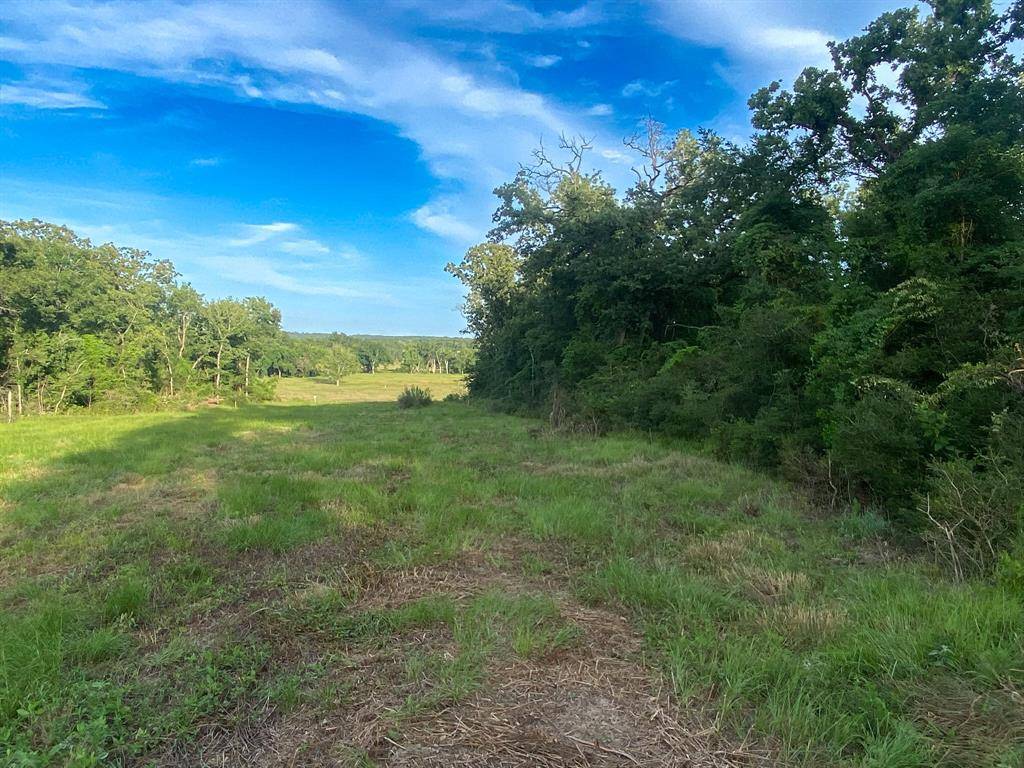 Marquez, TX 77865,TR7 County Road 426
