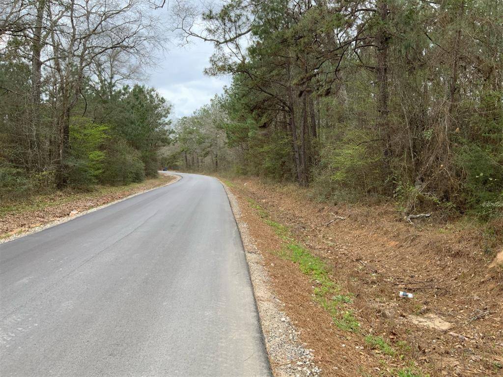 Coldspring, TX 77331,TBD (Tract 115) Spring Ridge RD