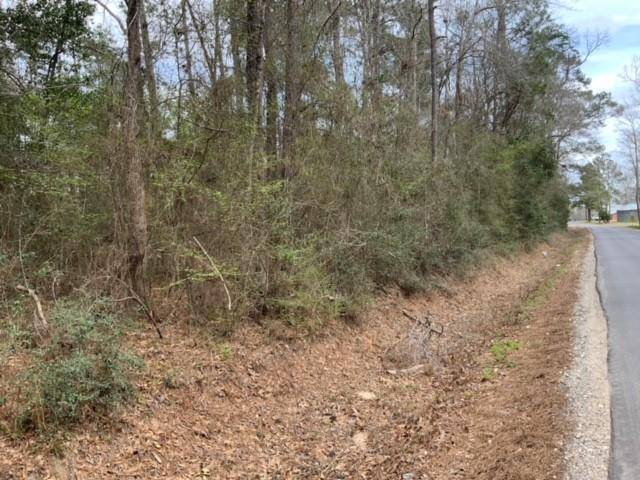 Coldspring, TX 77331,TBD (Tract 115) Spring Ridge RD