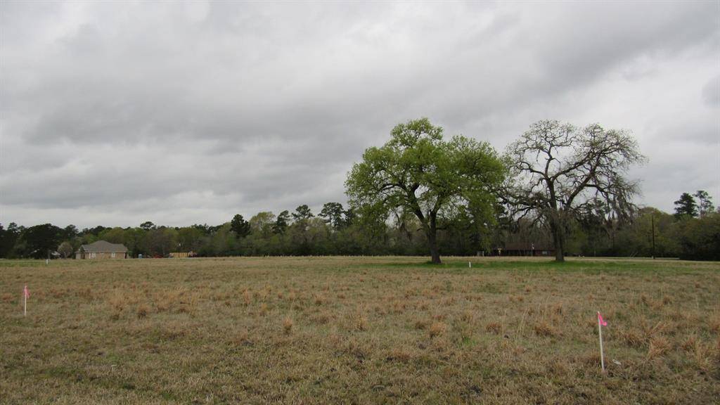 Trinity, TX 75862,TBD Fairway DR