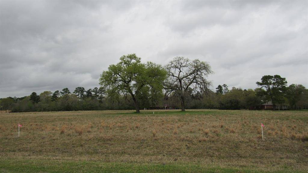 Trinity, TX 75862,TBD Fairway DR