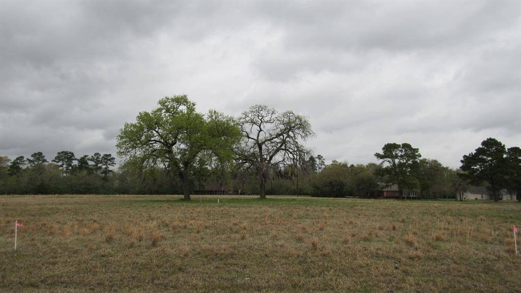 Trinity, TX 75862,TBD Fairway DR