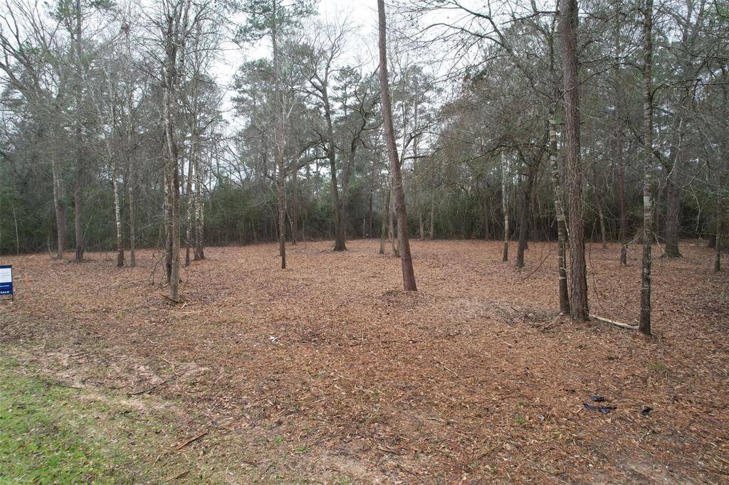 Plantersville, TX 77363,16740 Wood Duct CT CT