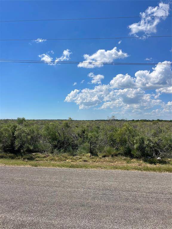 Sargent, TX 77414,LOT 170 County Road 299 - Heron ST