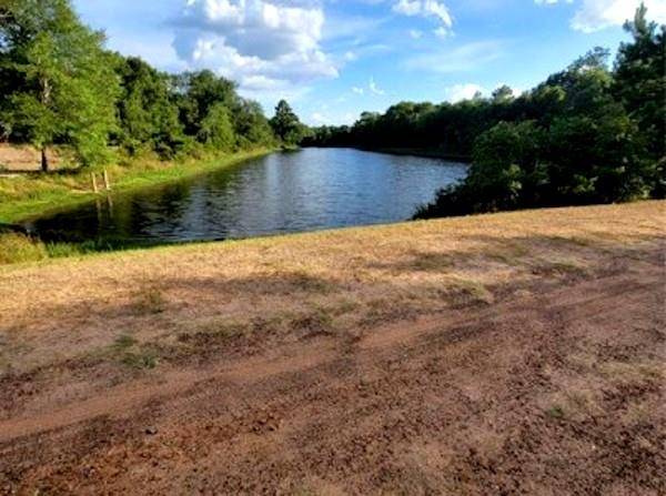 Hempstead, TX 77445,Lot 14 Deerwood