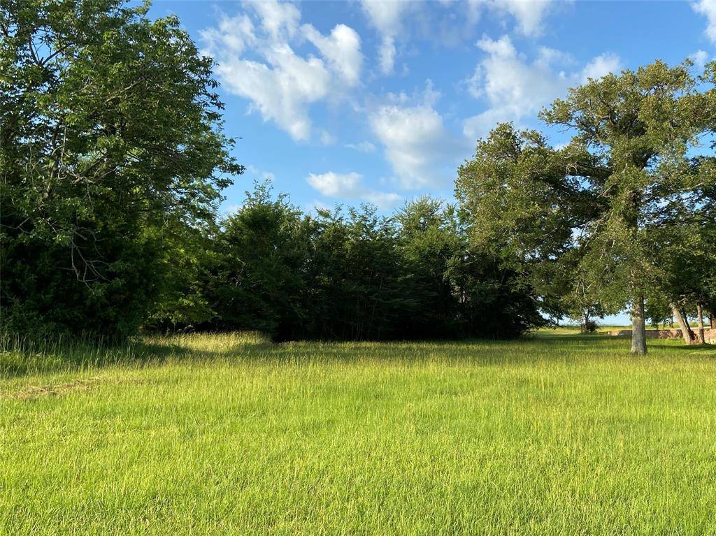 Thornton, TX 76687,Lot 19, 20 Sadler Lane -Lake Limestone