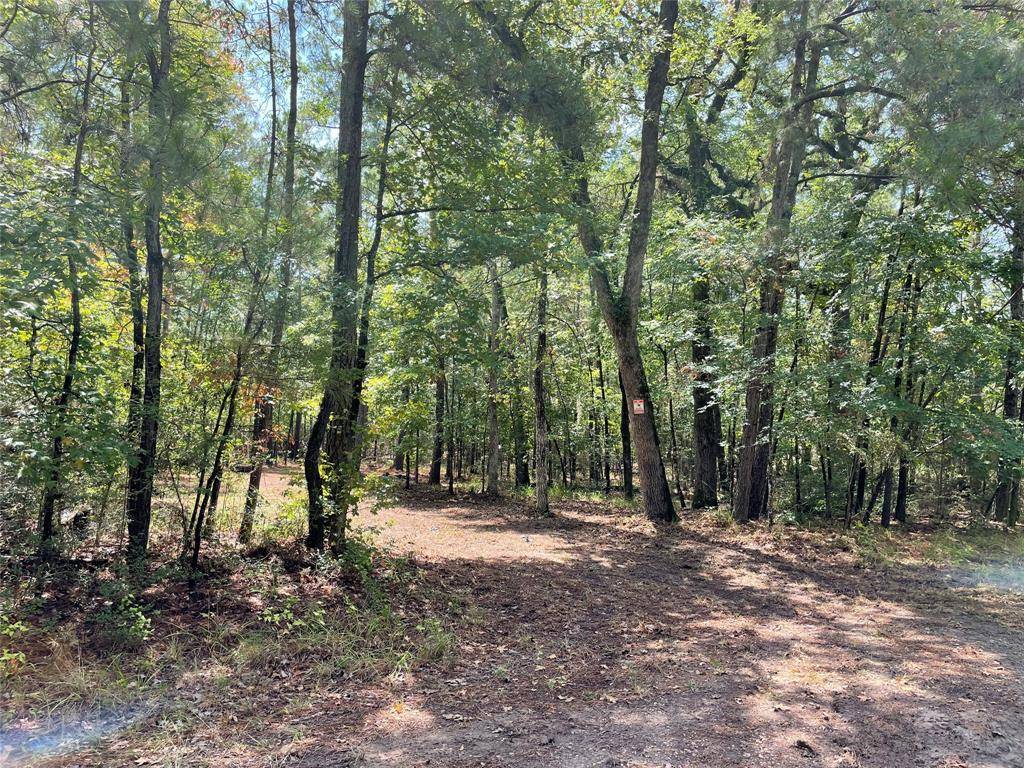 Trinity, TX 75862,330 Wilderness RUN