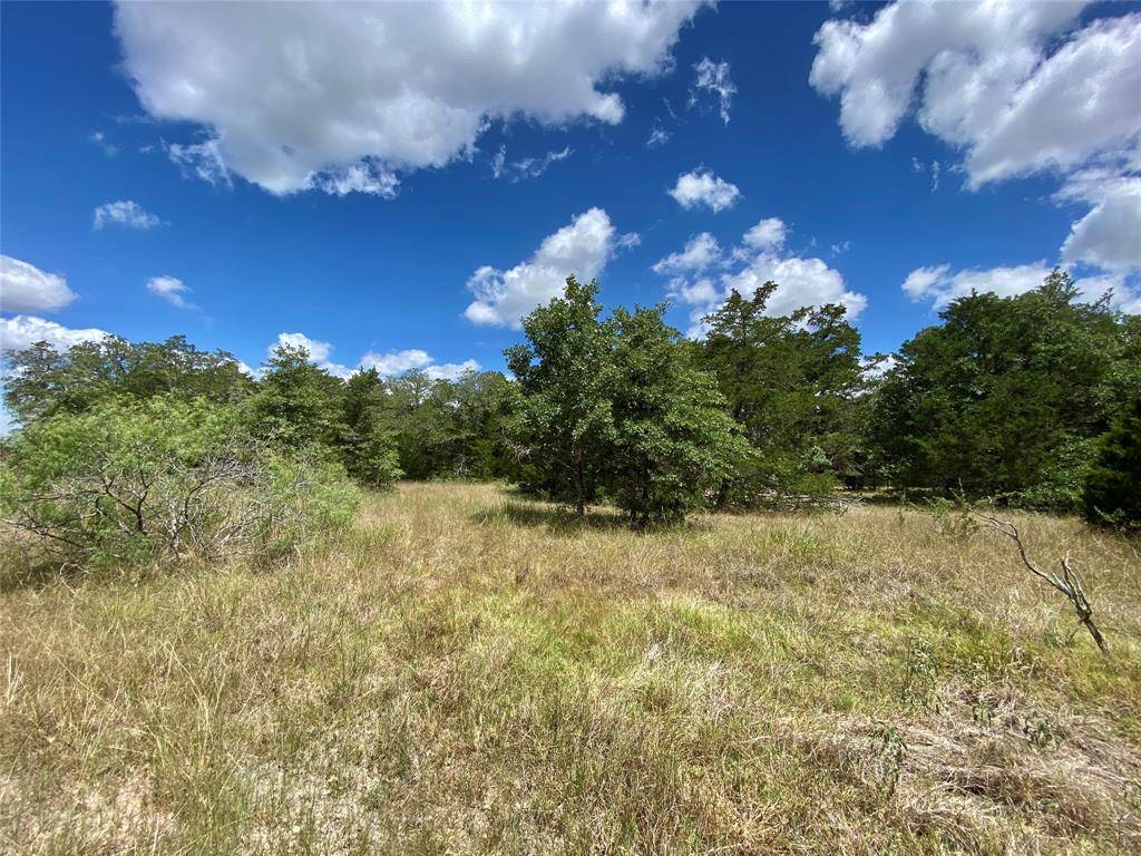 Ledbetter, TX 78946,TBD Goehring Rd - Tract 5