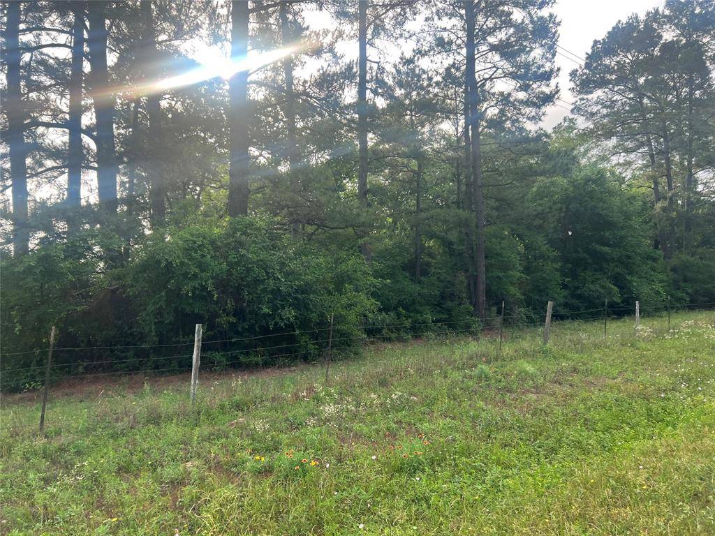 Waller, TX 77484,0 FM 362 N