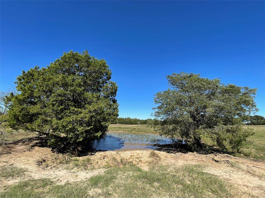 Fairfield, TX 75840,TBD Tract 7 FCR 510