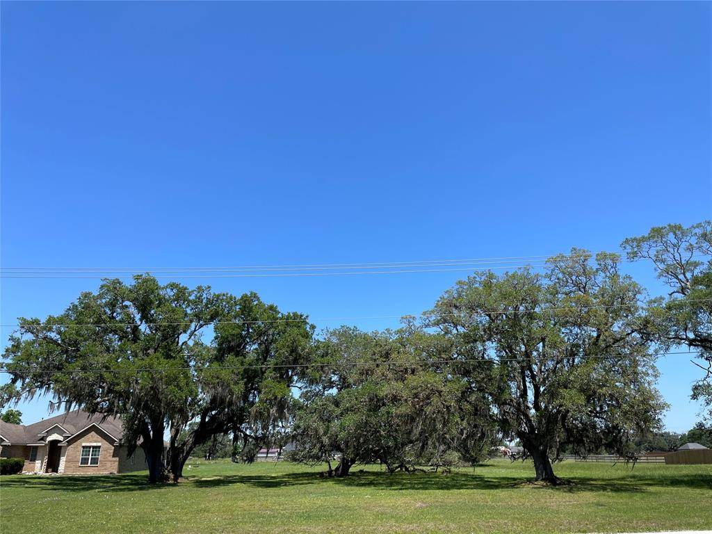 Angleton, TX 77515,1126 Quarter Horse TRL